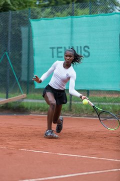 Noma Noha Akugue 243 - Klippeldon